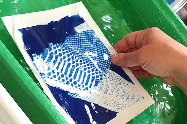 Atelier Cyanotype